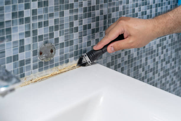 Best Mold Cleaning Services  in Chenango Bridge, NY